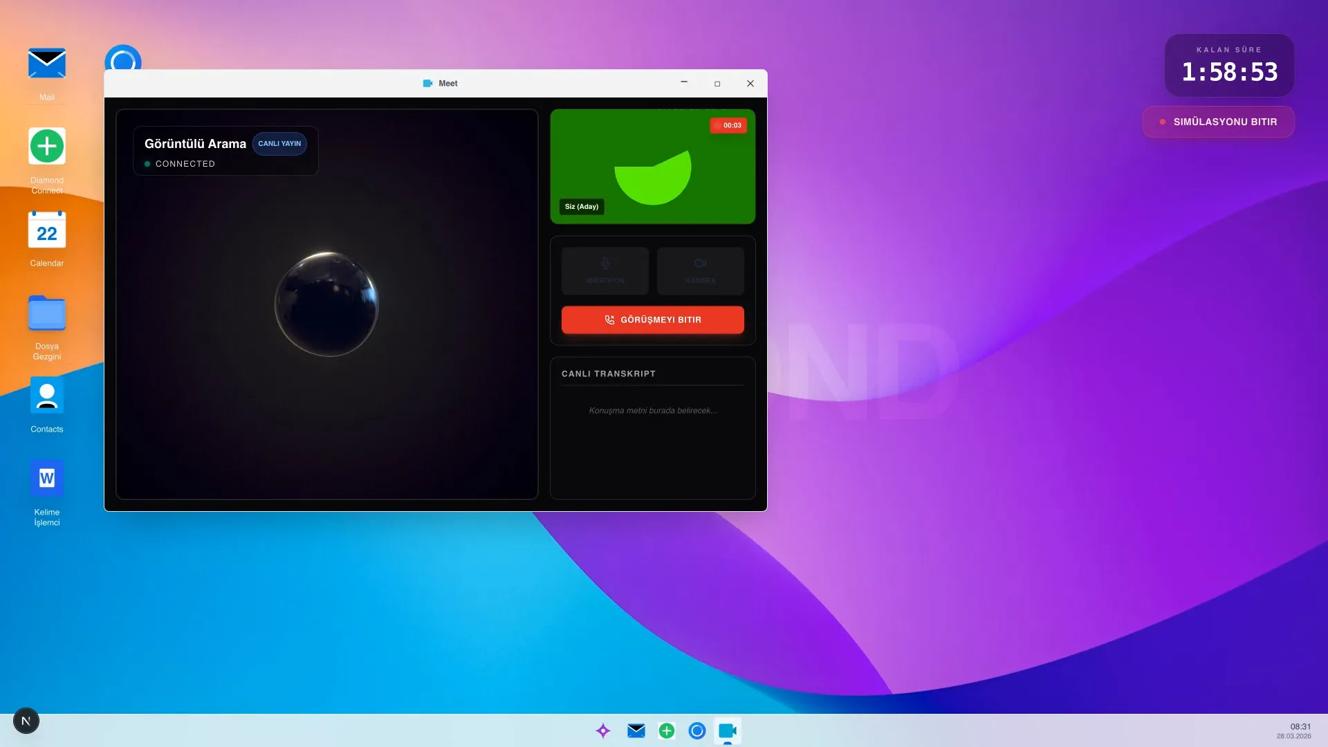 Simulation Preview
